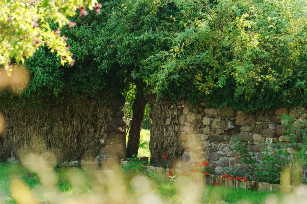 Alsace, Les Jardins de Colmar, Gîtes à Herrlisheim-Pres-Colmar