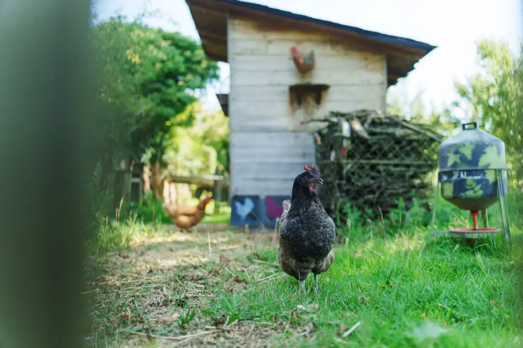 Alsace, Les Jardins de Colmar, Gîtes à Herrlisheim-Pres-Colmar