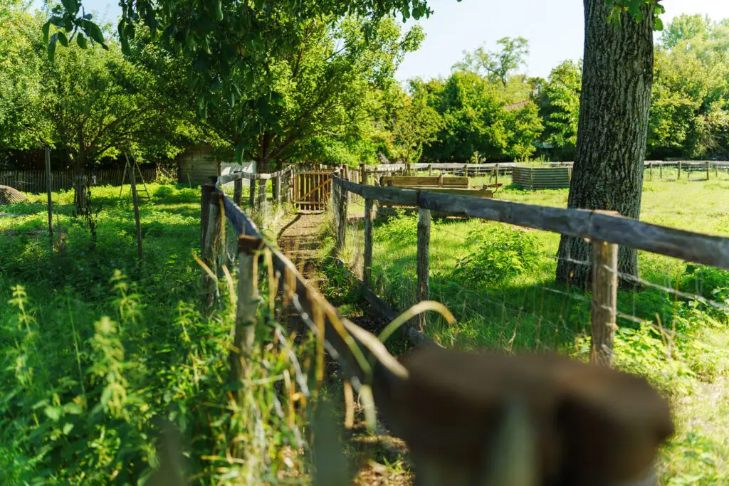 gîte près de Colmar en Alsace