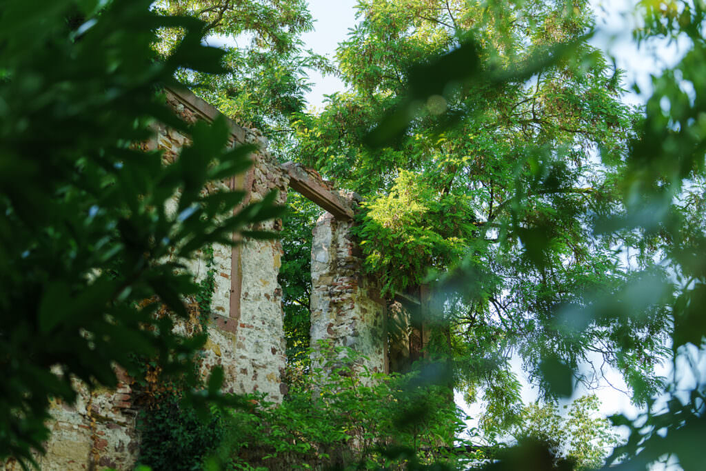 Alsace, Les Jardins de Colmar, Gîtes à Herrlisheim-Pres-Colmar