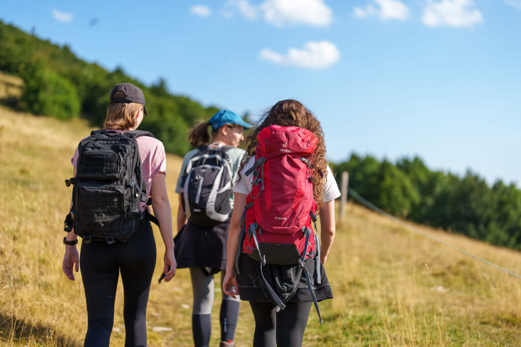 Grand Ballon, Vosges, Les Jardins de Colmar, Gîtes à Herrlisheim-Pres-Colmar