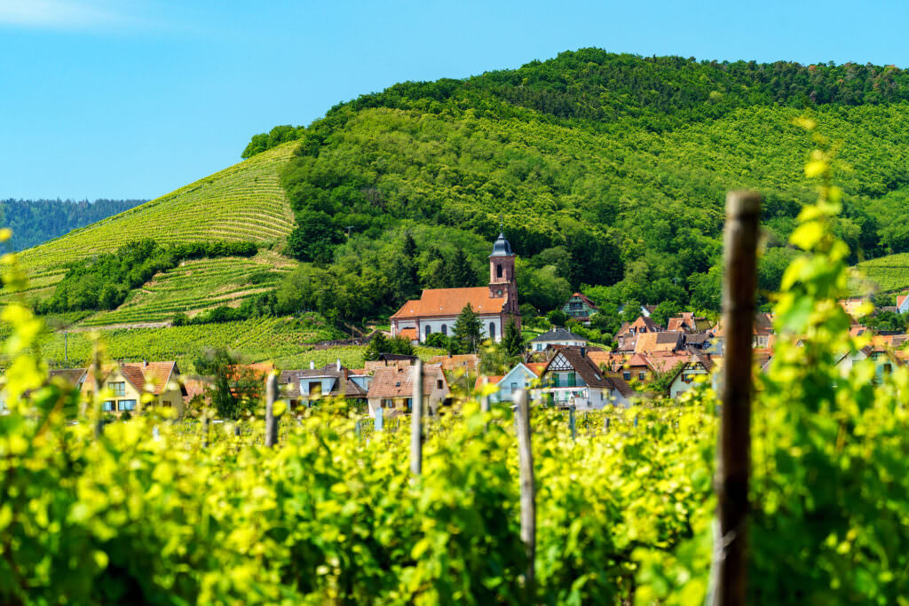 Route du Vins en Alsace, Les Jardins de Colmar, Gîtes à Herrlisheim-Pres-Colmar
